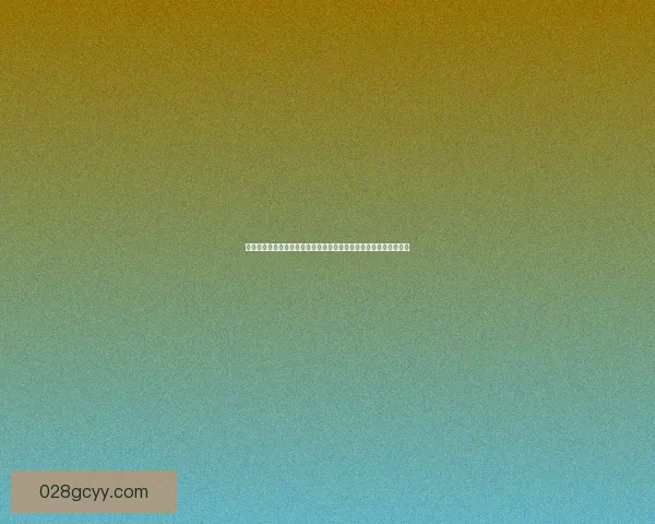 女忍馈赠活动全程安排及参与指南详解，助你轻松掌握每一阶段任务